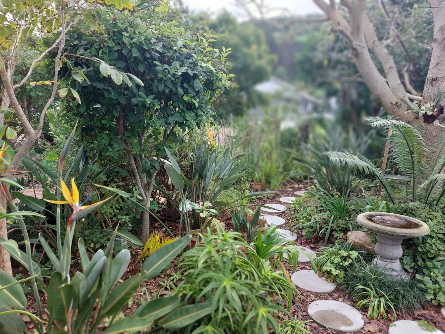 2 Bedroom Property for Sale in The Village Western Cape